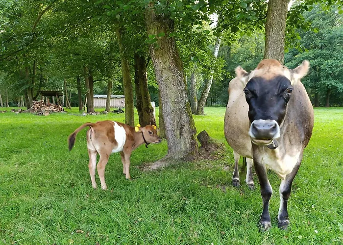 Jurta Na Farme *
