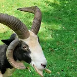 Luxusní stan Jurta Na Farmě Karlovy Vary