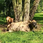 Jurta Na Farme *