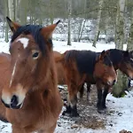 Jurta Na Farmě Karlovy Vary