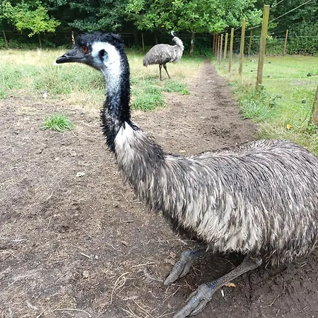 Jurta Na Farme Karlsbad