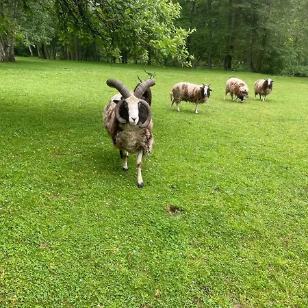 Jurta Na Farme * Karlsbad