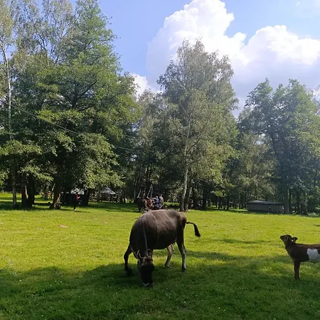 Campo de lujo Jurta Na Farme