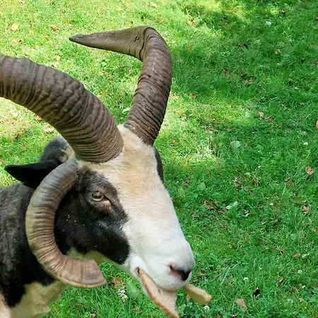 Campo de lujo Jurta Na Farme Karlovy Vary