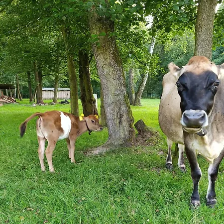 Jurta Na Farmě *