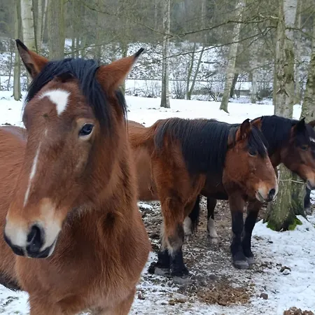 Jurta Na Farmě Karlovy Vary